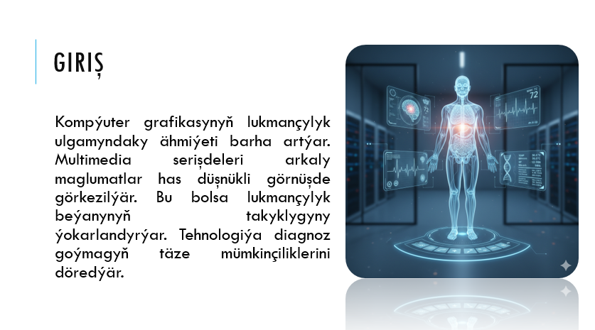 Lukmançylyk multimedia ulgamlarda kompýuter grafikasyny ulanmak